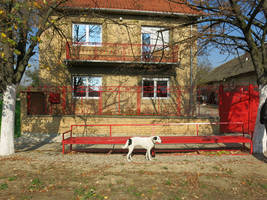  lajka red bench