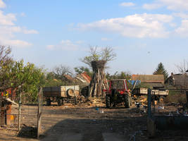  storks nest