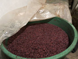  grapes fermenting