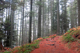 pelister hiking