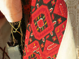  traditional embroidered costume