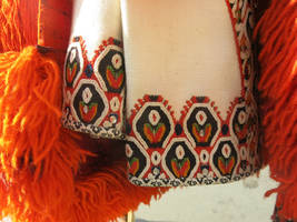  traditional embroidered costume