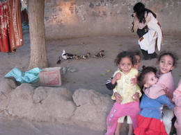 dahab island kids ducks