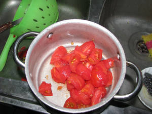 tomato for salsa