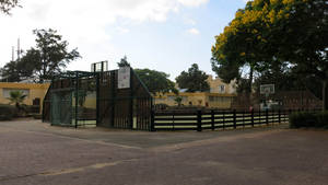  weizman courtyard