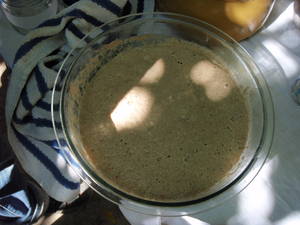 sourdough spelt bread