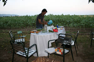 rosas pasifloras fermentadas