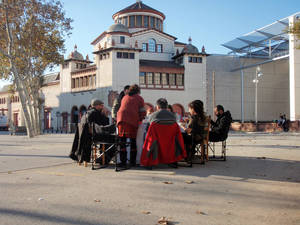 sunny winter dinner microculturas