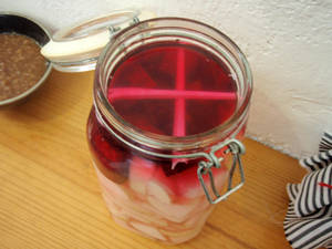 fermenting radish microculturas