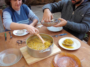 lab microculturas
