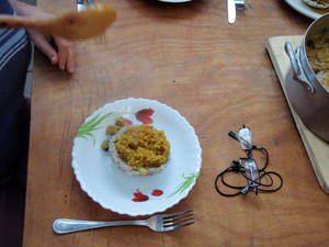lab microculturas