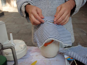 lab microculturas