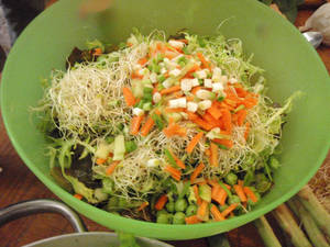 true food liberation workshop