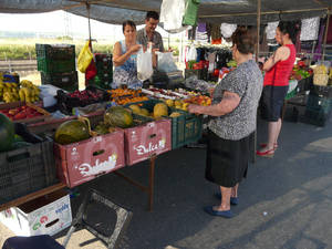 mercado villarrubia