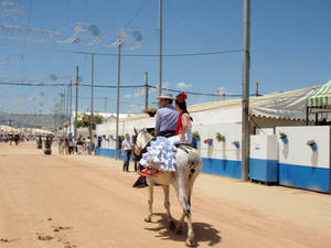 feria de cordoba