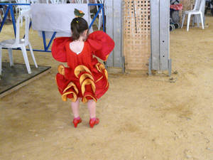 feria de cordoba