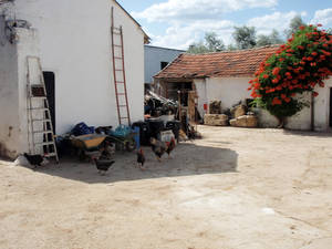 cortijo culturhaza