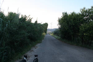 cortijo culturhaza