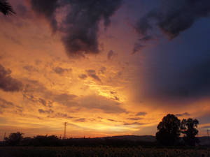  nube villarrubia