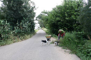 vida en cortijo