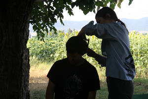 vida en cortijo