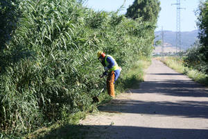 vida en cortijo