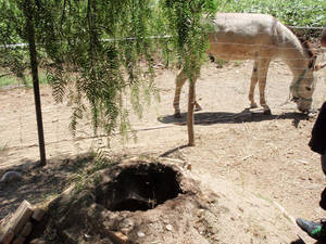 vida en cortijo